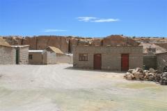 IMG_2463__Medium_