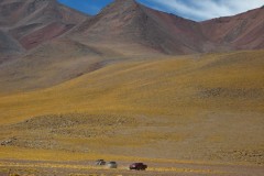 IMG_8376