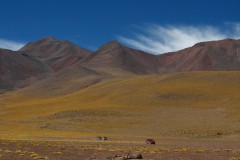 IMG_8377