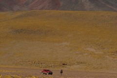 IMG_8378