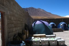 IMG_8379