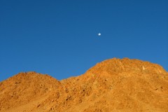 IMG_8385