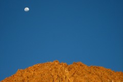 IMG_8386